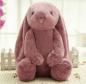 Preview: Plüsch Puppe Kissen Kind Spielzeug Cute plush dollrabbit